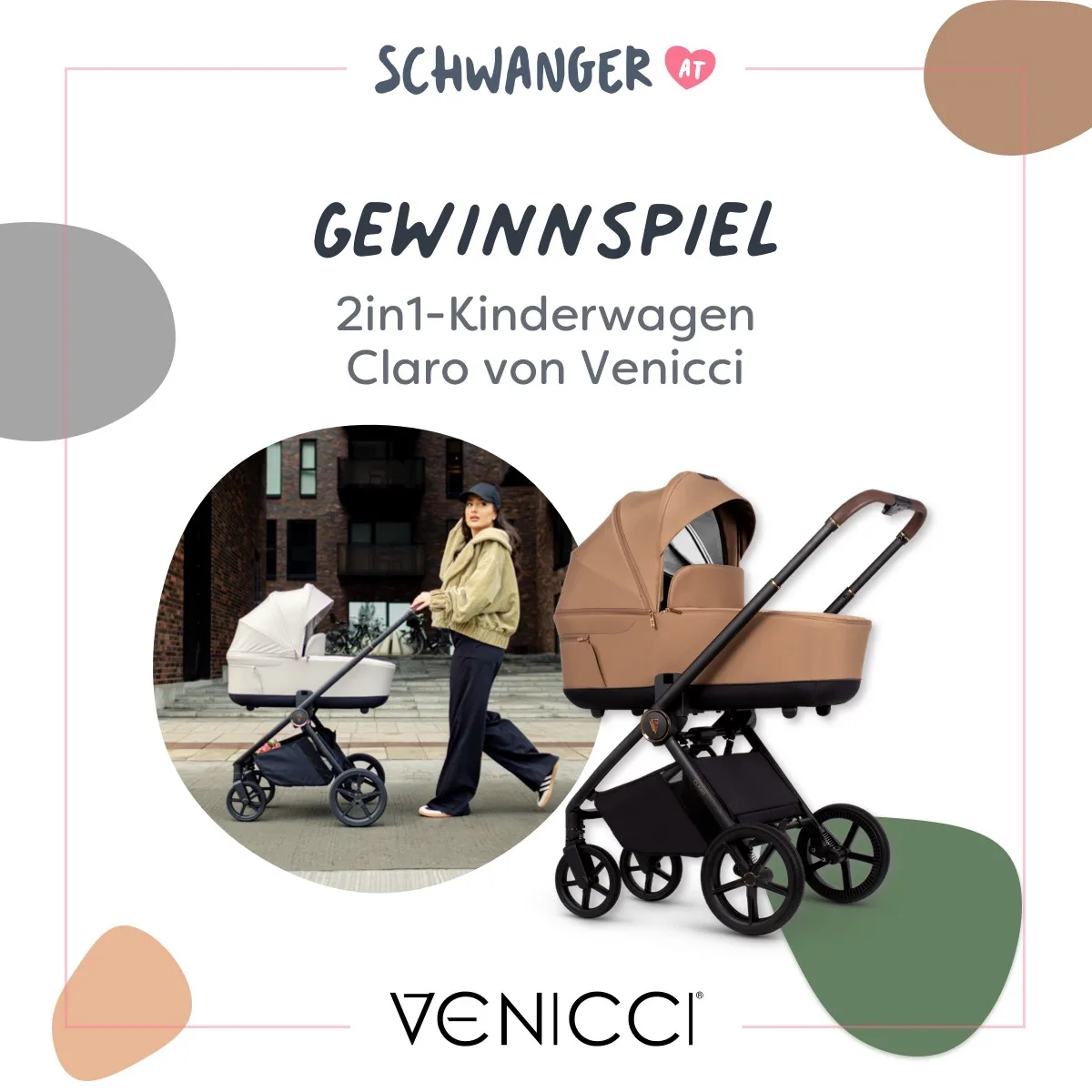 SchwangerAT-Venicci-1000.webp