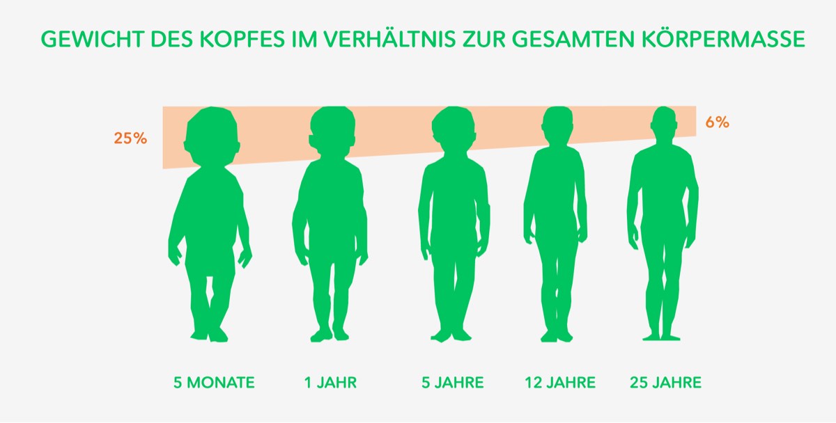 © Zwergperten Zwergperten Diagram Kindersitze
