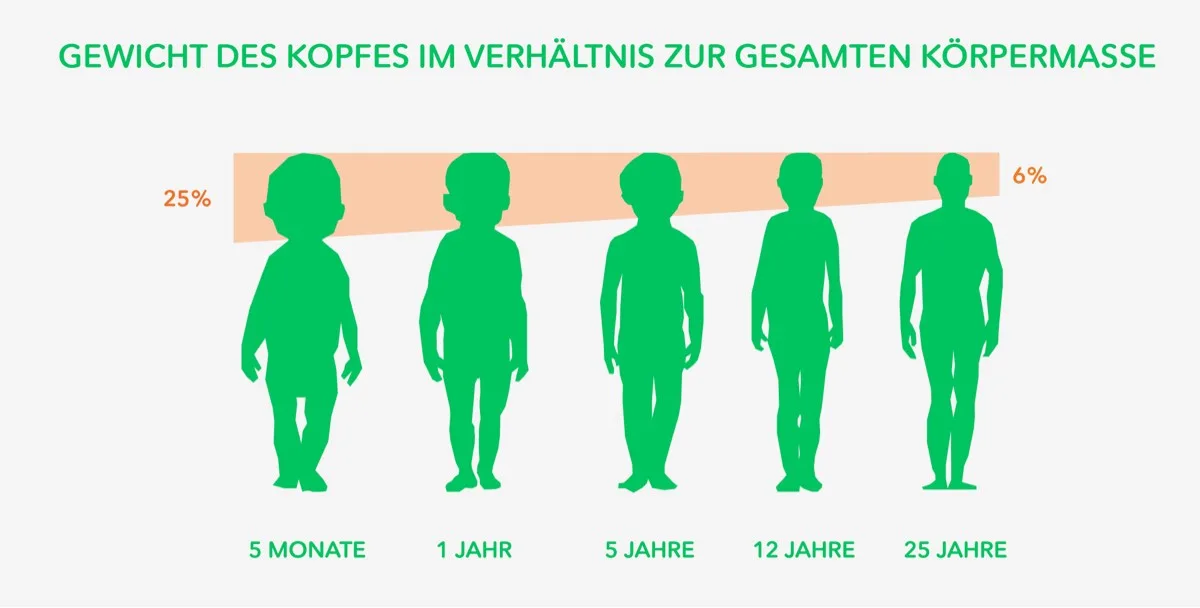 Zwergperten Diagram Kindersitze