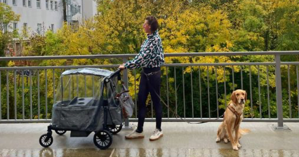 Flexibler Begleiter für unterwegs: Klappbollerwagen KETTLER COMPACT